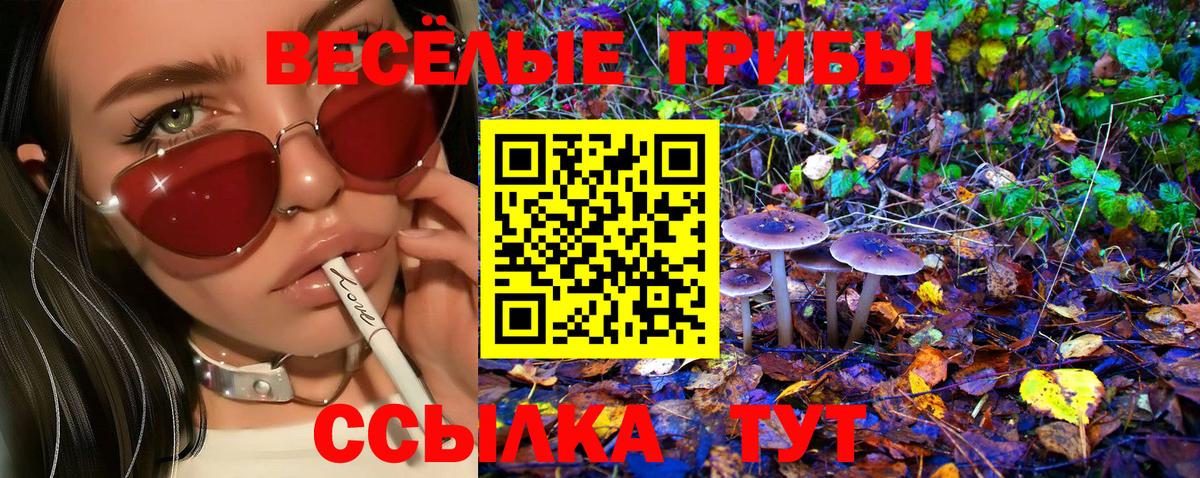 Ялуторовск  Псилоцибиновые грибы Psilocybe  Вход с VPN  Галлюциногенные грибы ЛСД 